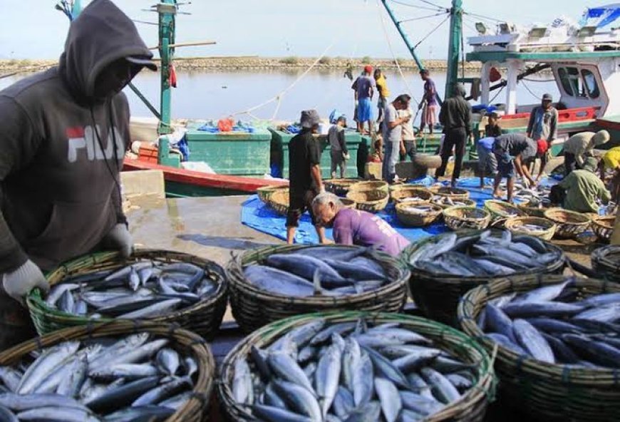KKP ungkap kebutuhan ikan beberapa daerah naik 10-20 persen