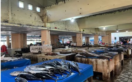 Spesialis Pencuri ikan di Mamajang Gunakan Modus Berpura-pura Bantu Nelayan