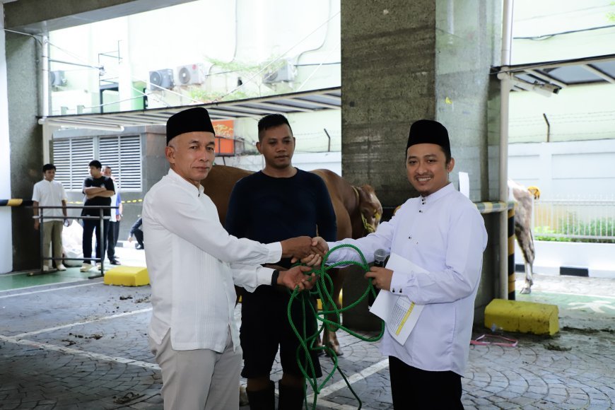 KKP Sembelih 20 Hewan Kurban, Meningkat Tiga Kali Lipat dari 2023