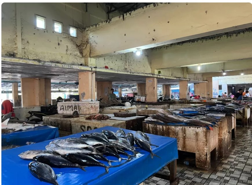 Spesialis Pencuri ikan di Mamajang Gunakan Modus Berpura-pura Bantu Nelayan