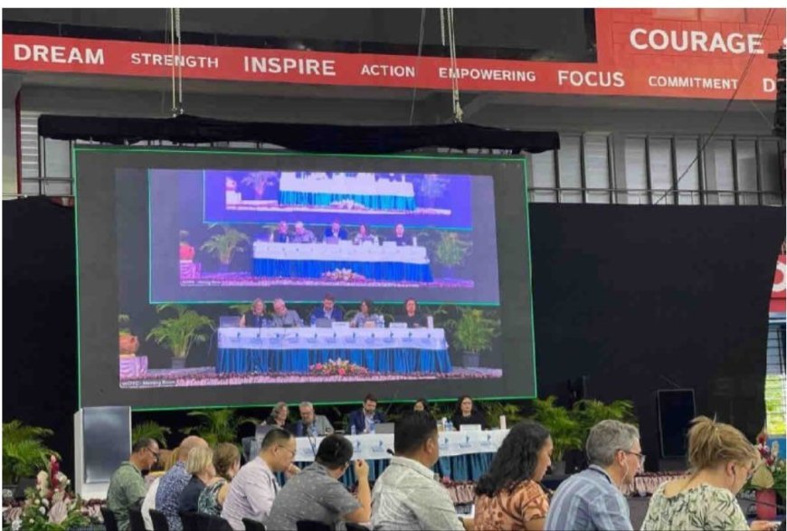 Indonesia perjuangkan standar tenaga kerja perikanan di ajang WCPFC21