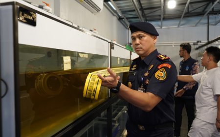 Legalitas Ikan Hias, Kunci Keberlanjutan Ekosistem