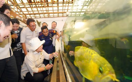 PSDKP Berikan Edukasi Kepatuhan Pelaku Usaha Budidaya dan Perdagangan Ikan Arwana di Kalimantan Barat