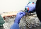 Uji Laboratorium Produk Perikanan KKP Diakui Akurasinya