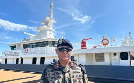 Negara Turun Tangan! Aktivitas Reklamasi Ilegal di Morowali Dihentikan