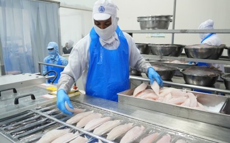 Laut Indonesia Mengguncang Pasar Dunia