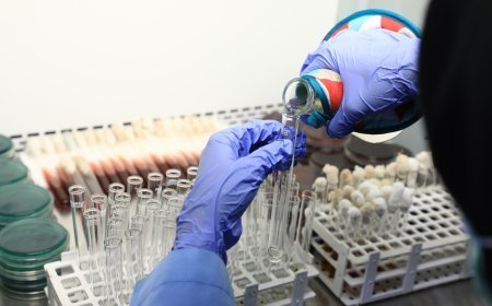 Uji Laboratorium Produk Perikanan KKP Diakui Akurasinya