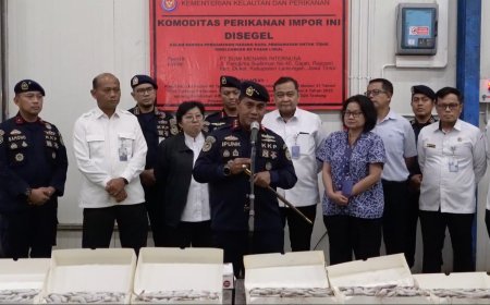 KKP Bergerak! 144 Ton Udang Vaname Impor Disegel, Jejak Impor PT BMI Dibongkar