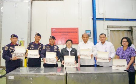 KKP Amankan 1.048 Ton Udang Impor, Potensi Kerugian Negara Rp405,8 Miliar