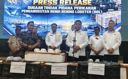 Gerak Cepat Satgas BBL! KKP dan Polri Ringkus Jaringan Penyelundupan Benih Lobster